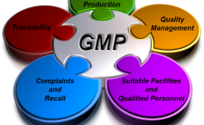 gmp-1-226x138